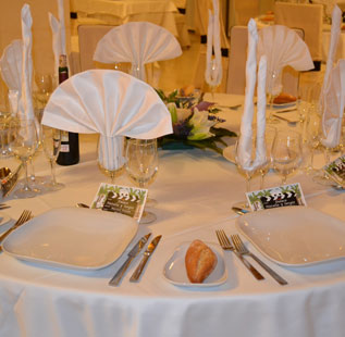 Daniya Hotels Daniya Hotels